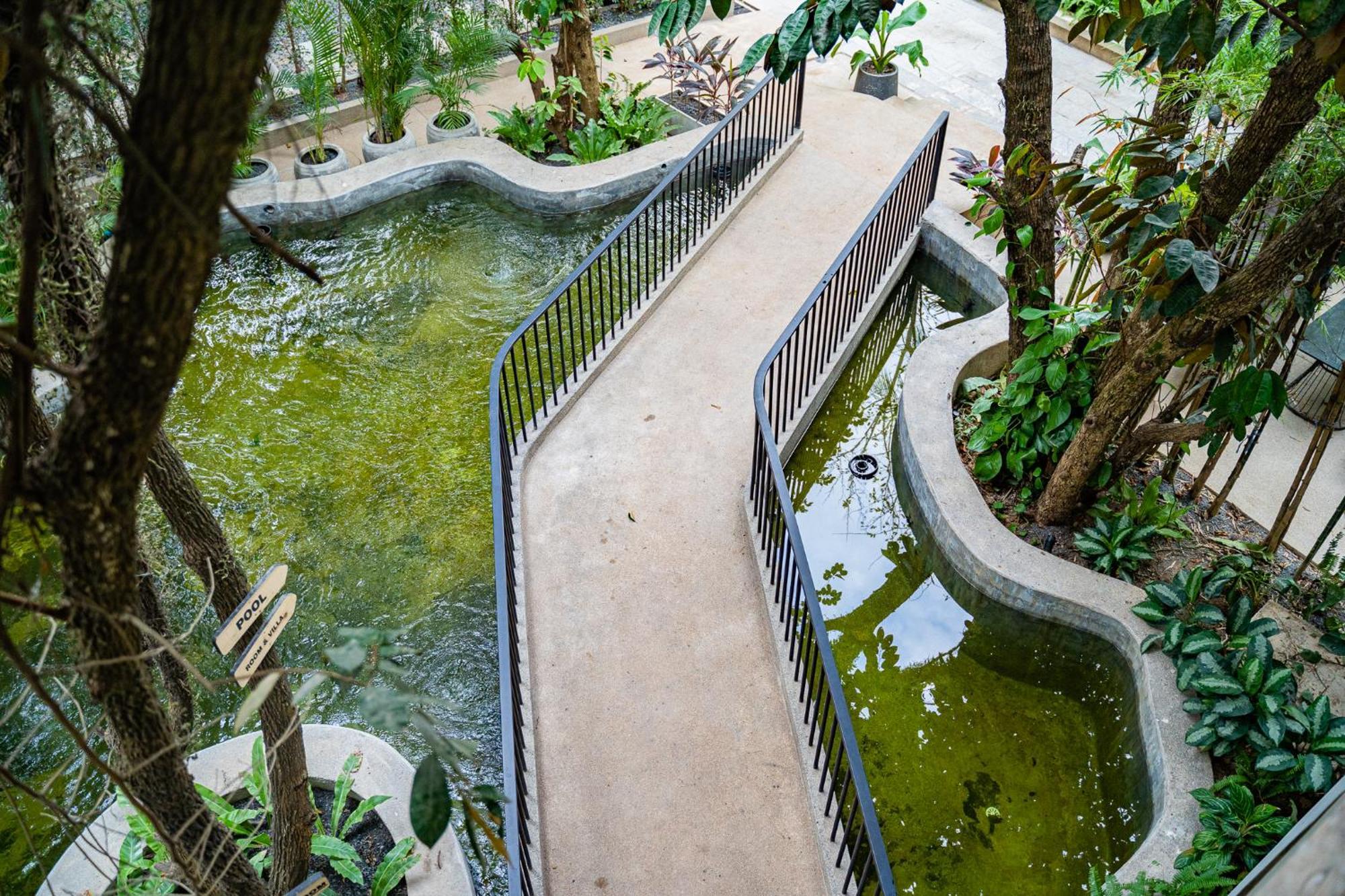 Rainforest Hotel By Nsun Kampot Extérieur photo